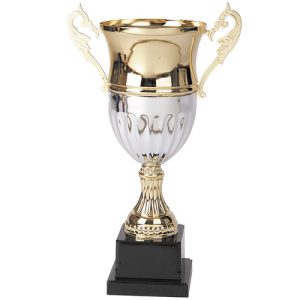 Copa 2006
