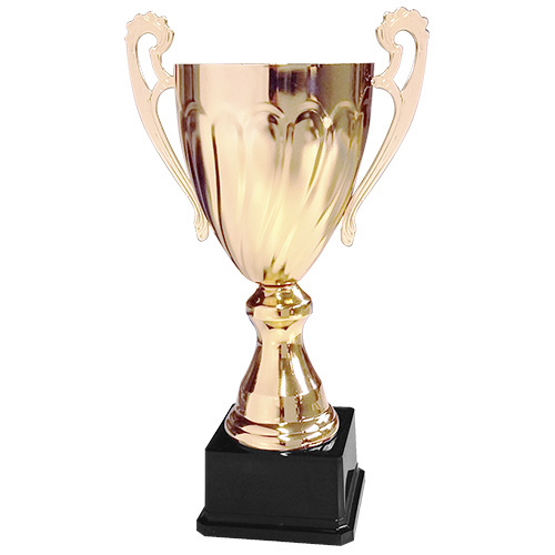 Copa CY 2013