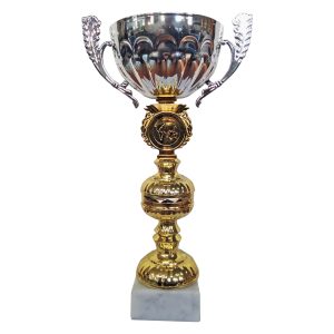 Copa BTC 4