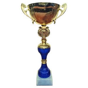 Copa GAS 15