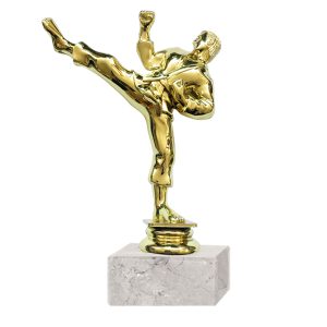 Trofeo plástico Artes Marciales RP-8015