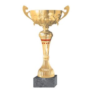 Copa BLAS 11
