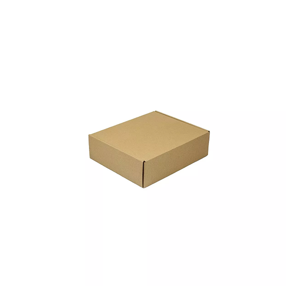 Caja Cartón Autoarmable Microcorrugado 25x20x7 - Imagen 2