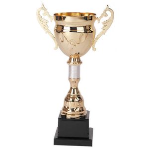 Copa 2001