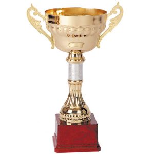 Copa 2007