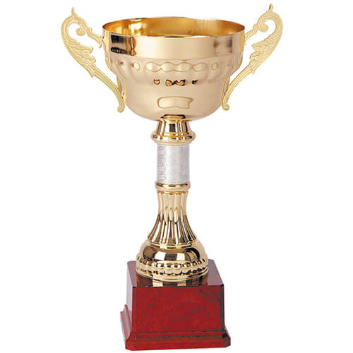 Copa 2007