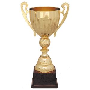 Copa 201