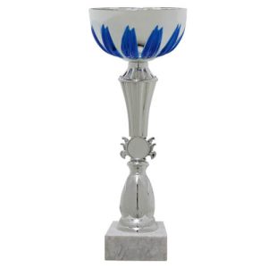 Copa BLAS 20