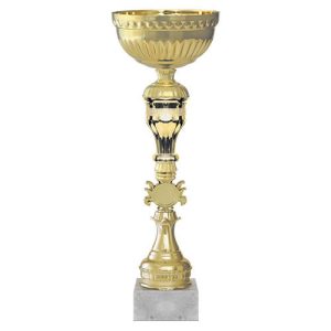 Copa RM 40