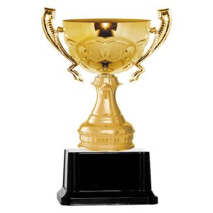 Copa BLAS 16