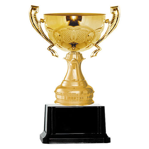 Copa BLAS 16