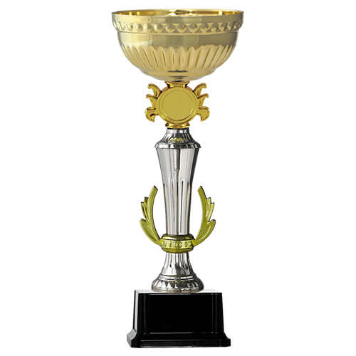 Copa BLAS 18
