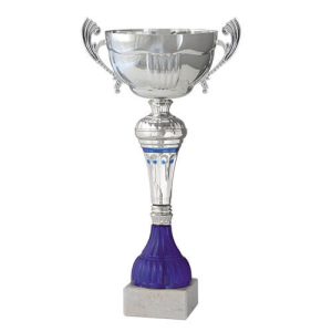 Copa BLAS 5