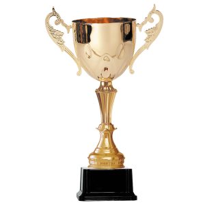 Copa BLAS 50