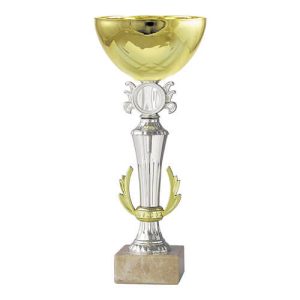 Copa BLAS 7