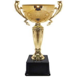Copa CAS 10