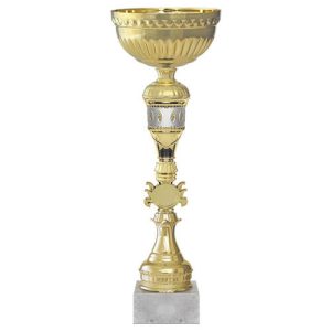 Copa CHR 100