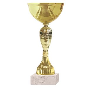 Copa FA 8