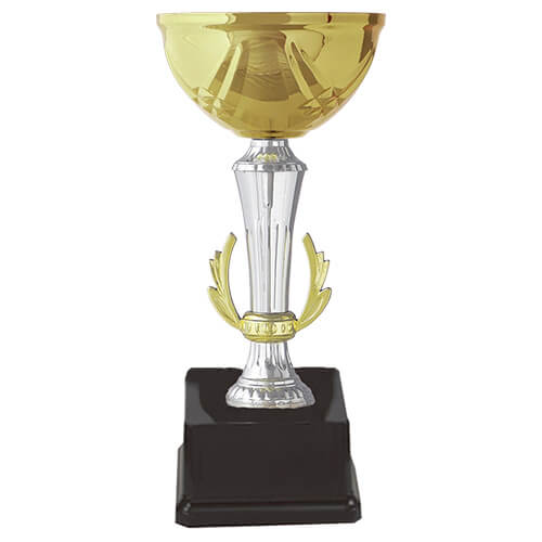 Copa INT 28