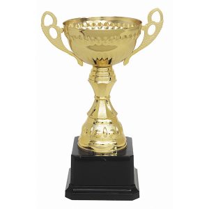 Copa 269