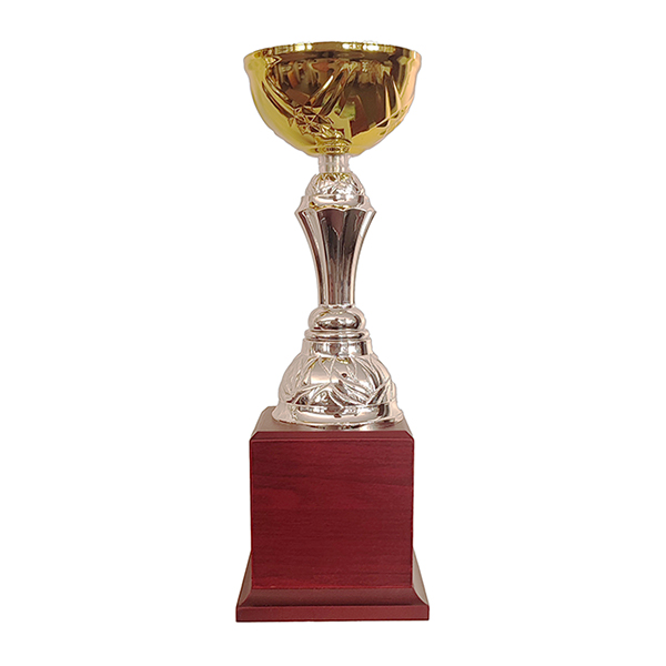 Copa BLAS 30 - Imagen 3
