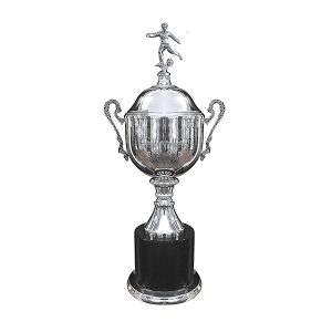 Copa Inglesa 115