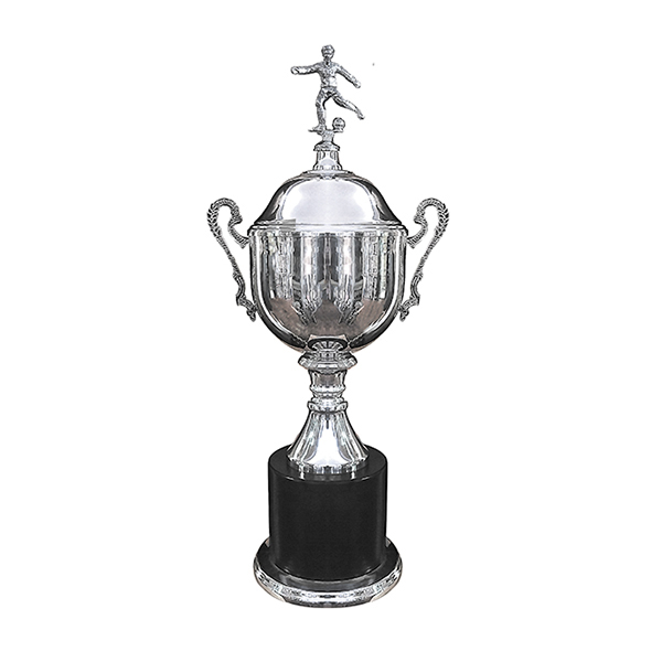 Copa Inglesa 115