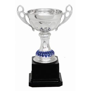 Copa S114