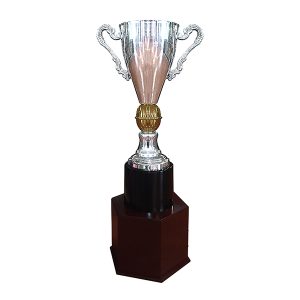 Copa España 733