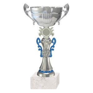 Copa BLAS 12