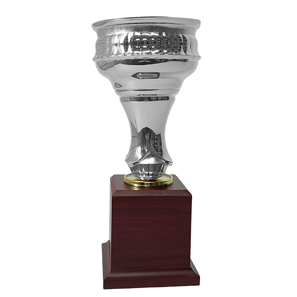 Copa CP22